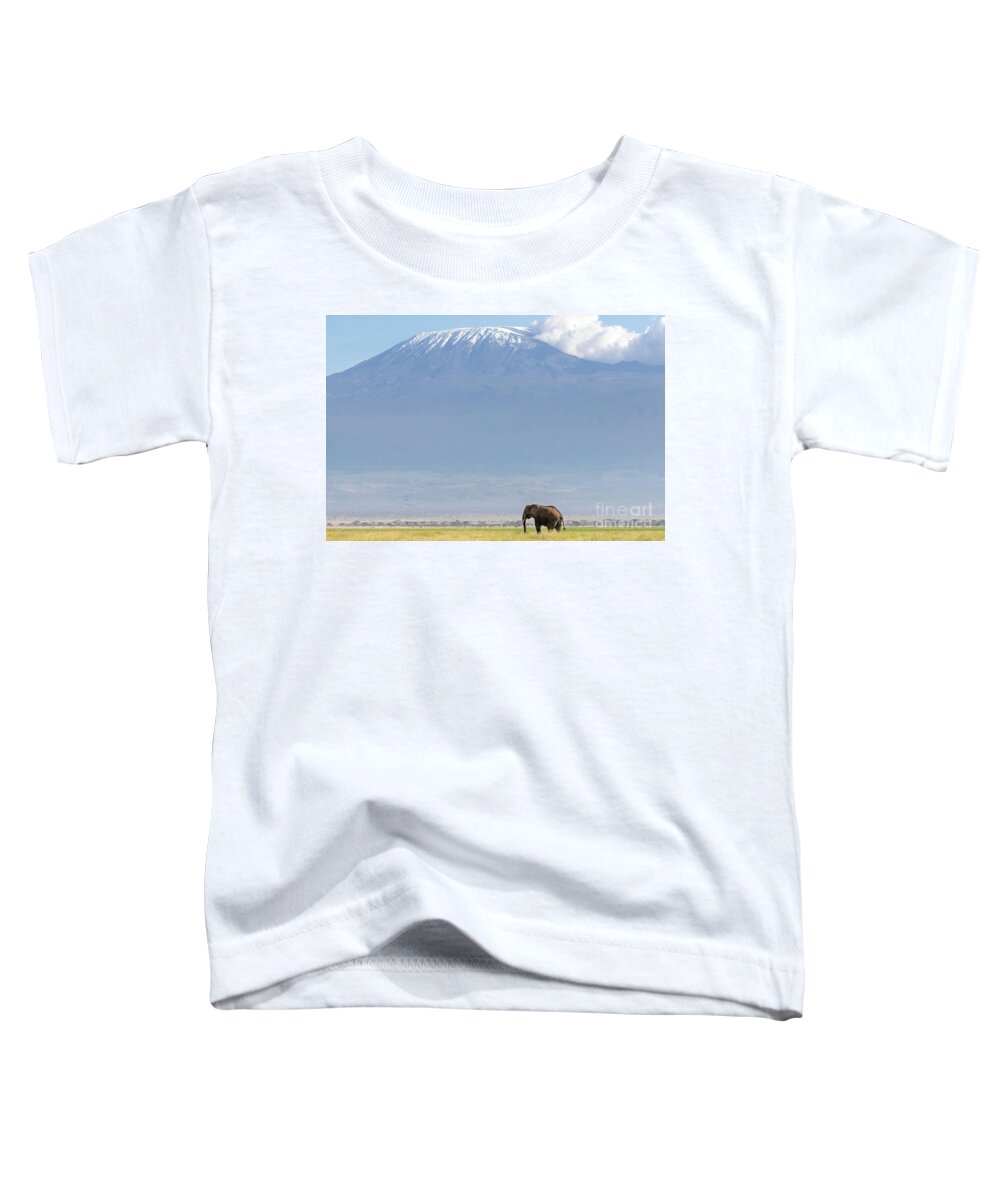 Elephant Toddler T-Shirt featuring the photograph African elephant walks across the grassland of Amboseli National park, Kenya. A snow covered Mount Kilimajaro can be seen in the background. by Jane Rix