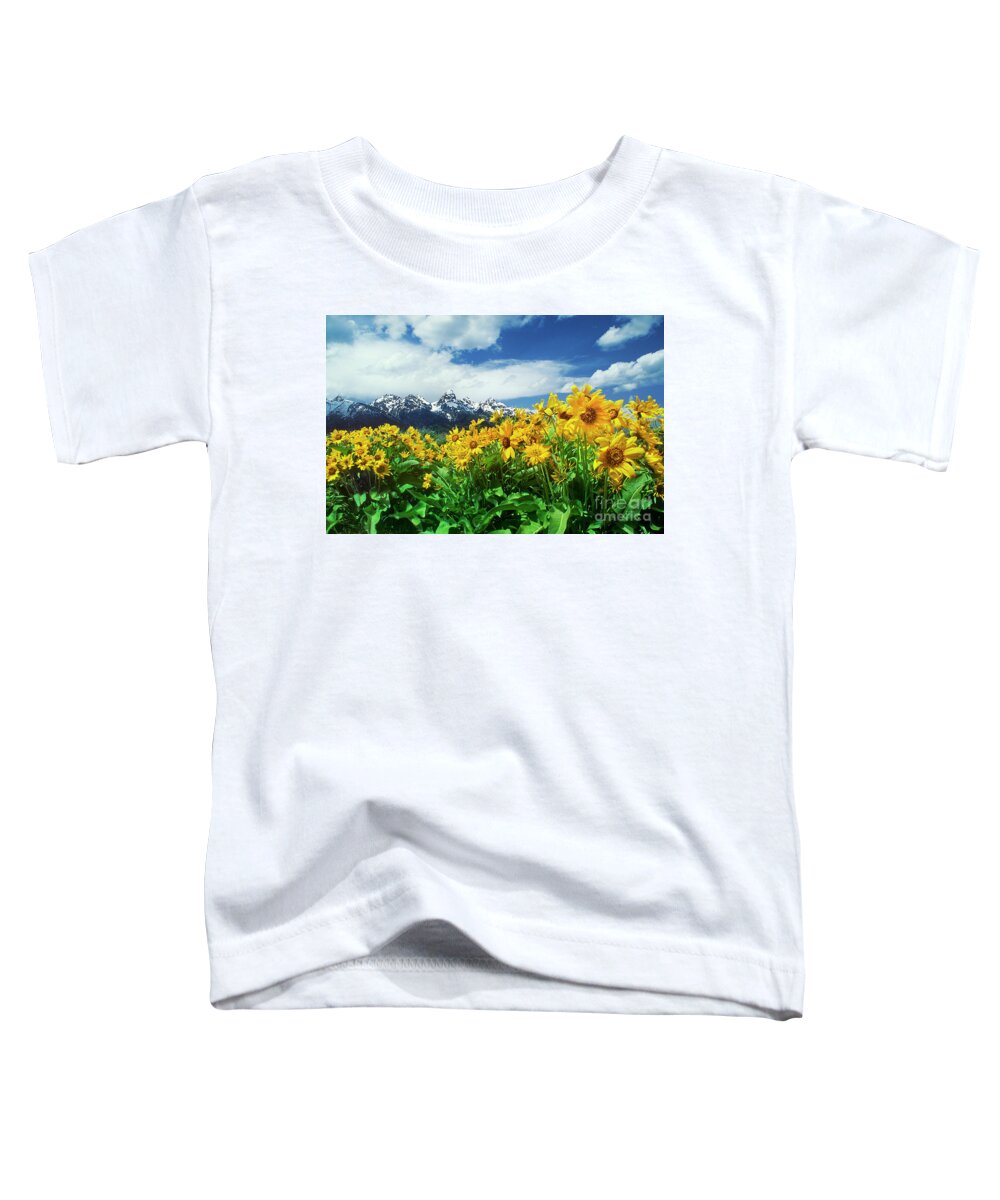Dave Welling Toddler T-Shirt featuring the photograph Arrowleaf Balsamroot Grand Tetons National Park Wyoming by Dave Welling
