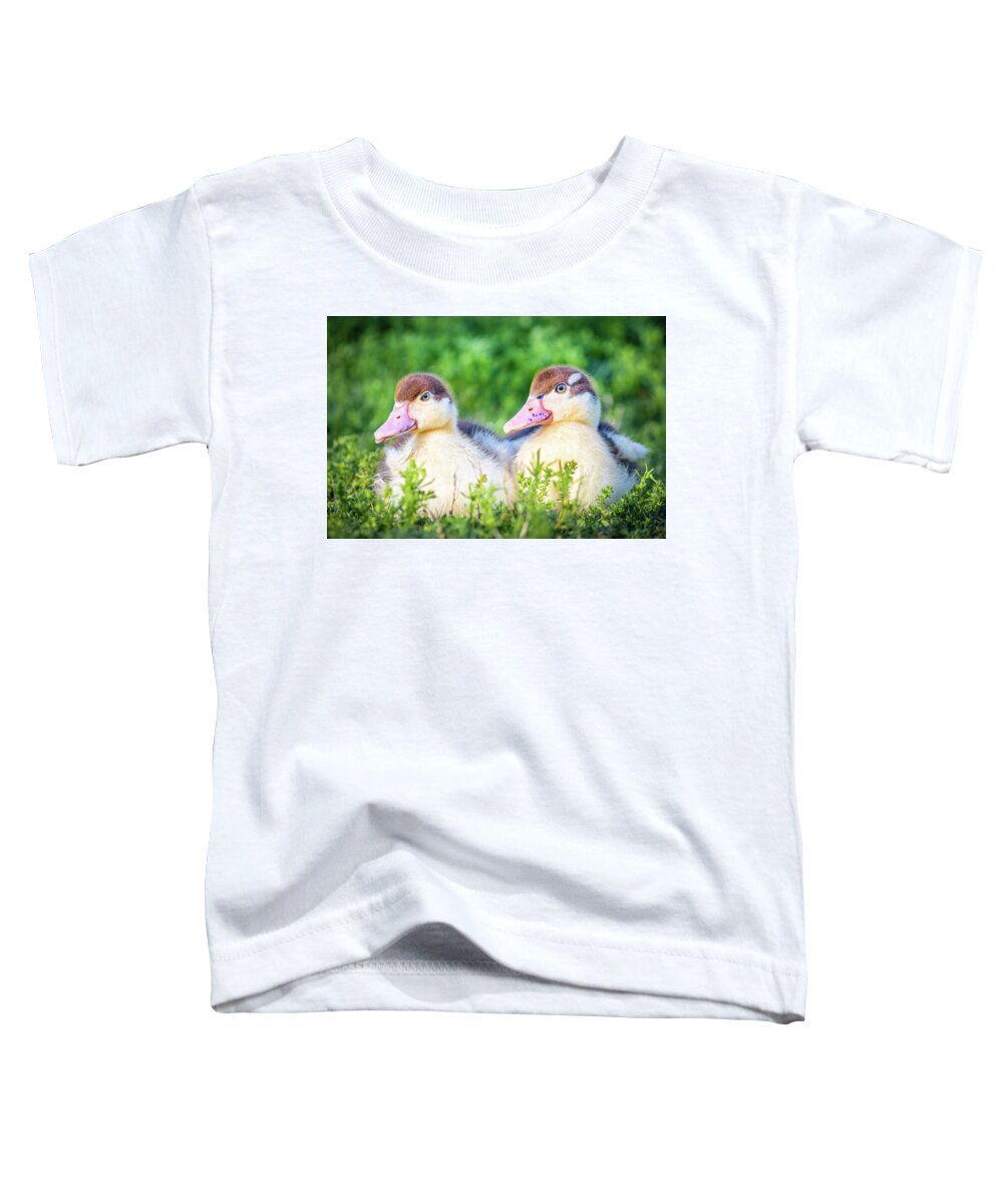 Ready Toddler T-Shirt featuring the photograph Baby Ducks Ready For Play time by Jordan Hill