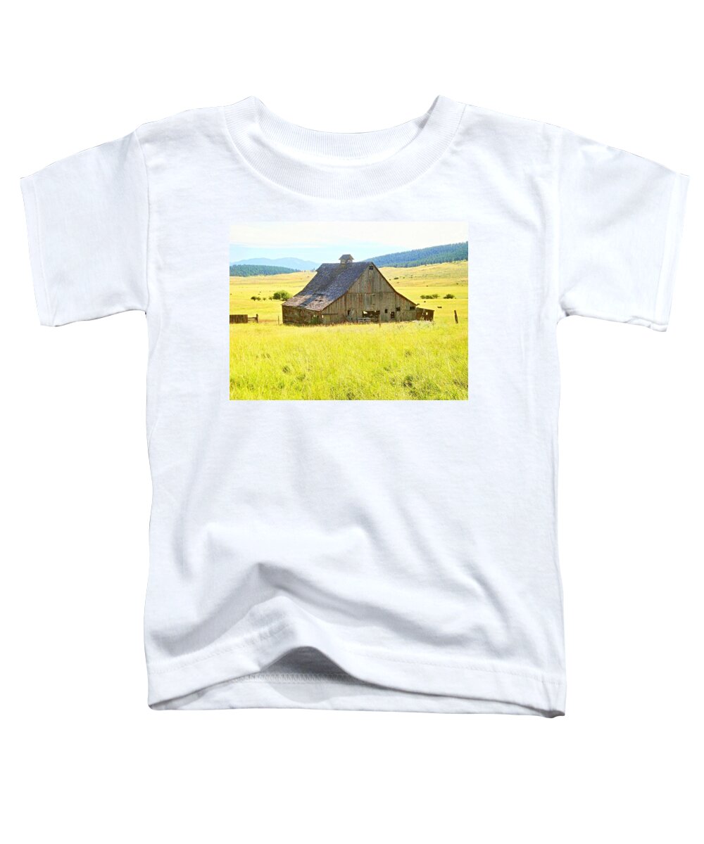 Landscape Toddler T-Shirt featuring the photograph Baker Valley Barn II by Bill TALICH