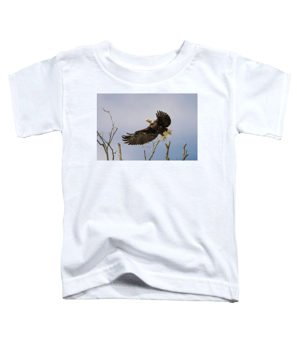 Bald Eagle Toddler T-Shirt featuring the photograph Bald Eagle by Linda Shannon Morgan