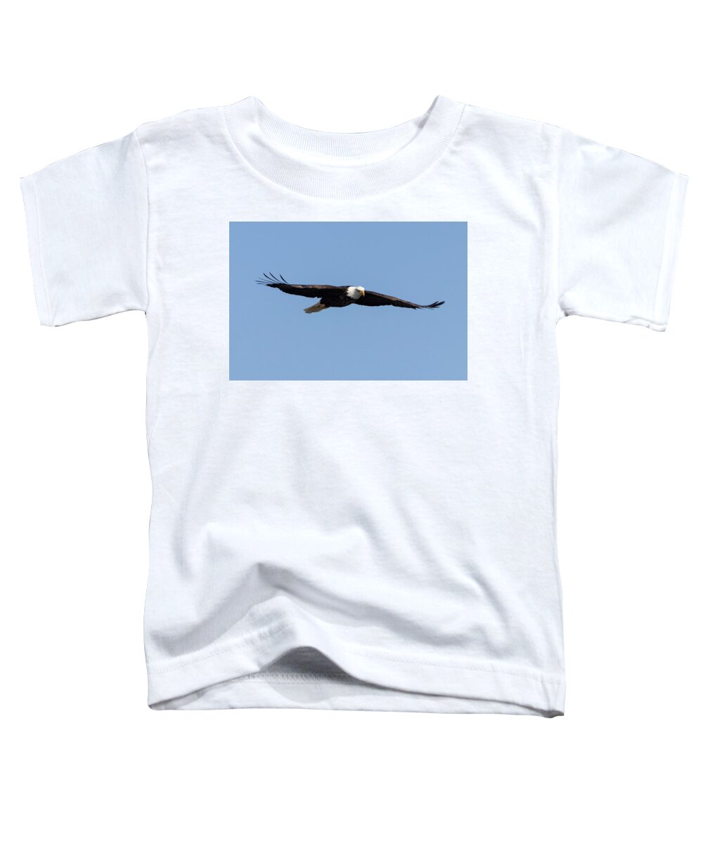 Eagle Toddler T-Shirt featuring the photograph Bald Eagle Soaring by Harold Rau