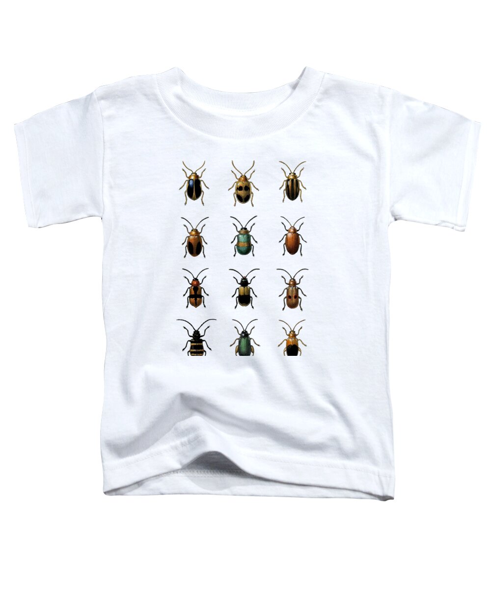 Beetle Toddler T-Shirt featuring the digital art Beetle Collection by Madame Memento
