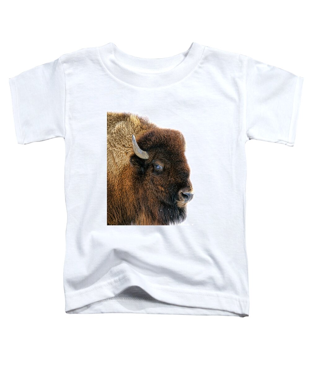 Buffalo Toddler T-Shirt featuring the photograph Bison in Winter by Olivier Le Queinec