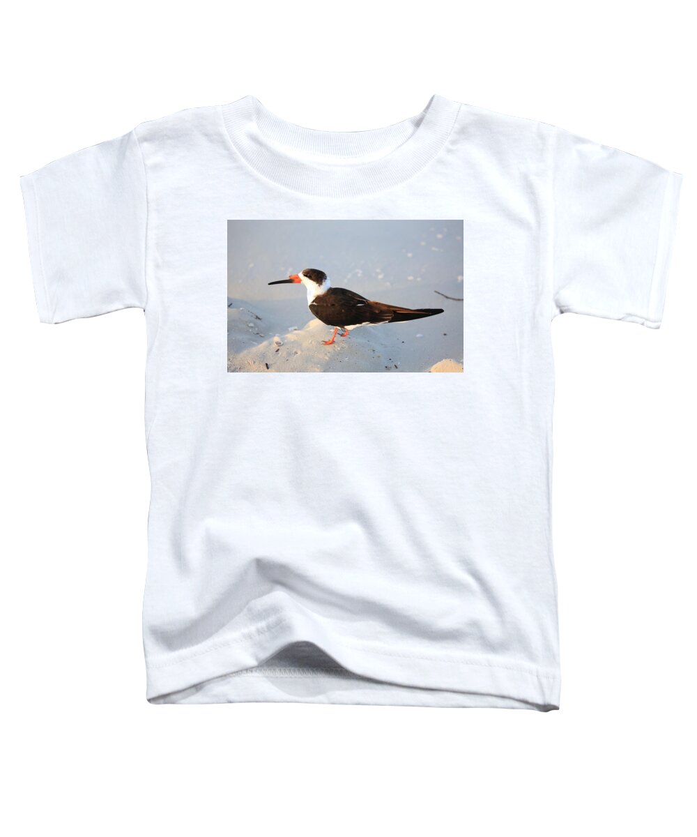 Black Skimmers Toddler T-Shirt featuring the photograph Black Skimmer by Mingming Jiang