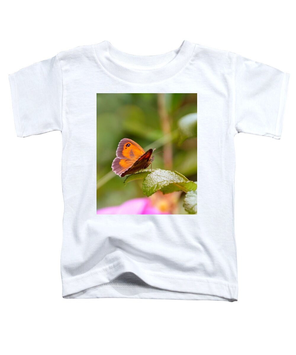 Butterfly Toddler T-Shirt featuring the photograph Butterfly by Jaroslav Buna