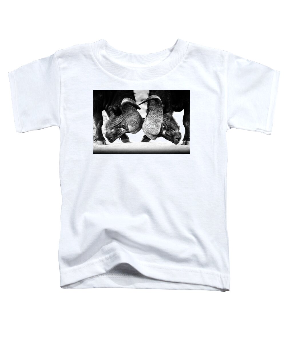 Cape Toddler T-Shirt featuring the photograph Cape Buffalo locking horns, Kruger Park, South Africa by Stu Porter