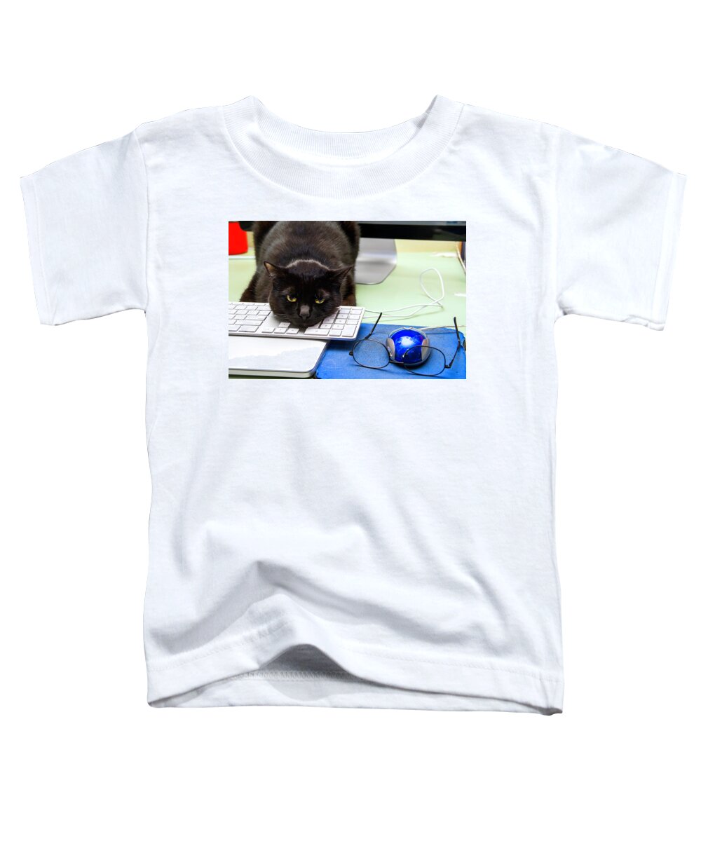 Photography Toddler T-Shirt featuring the photograph Cats #4 by Christopher W Weeks