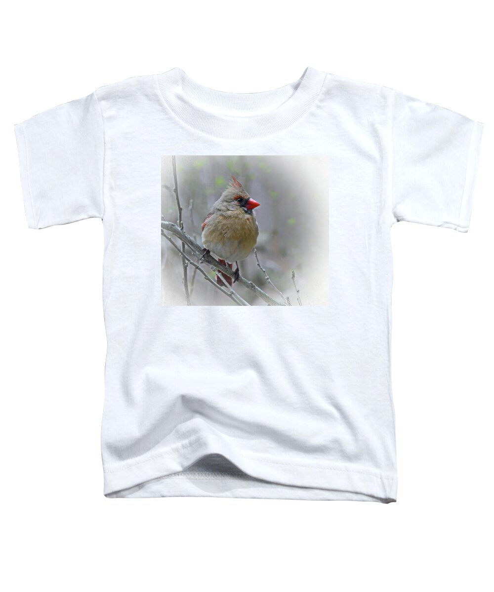 Cardinal Toddler T-Shirt featuring the photograph Charming Cardinal Female by Lyuba Filatova