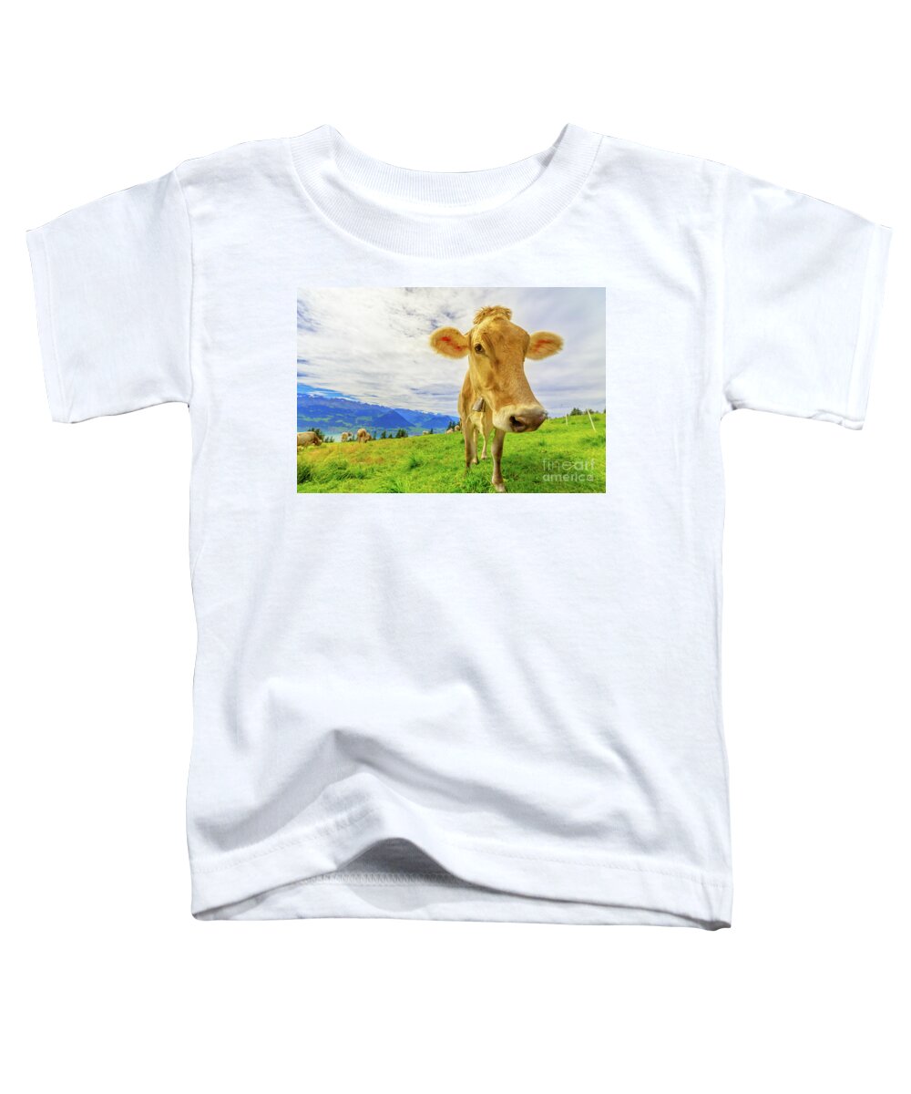 Cow Toddler T-Shirt featuring the photograph Cow in Mount Rigi by Benny Marty