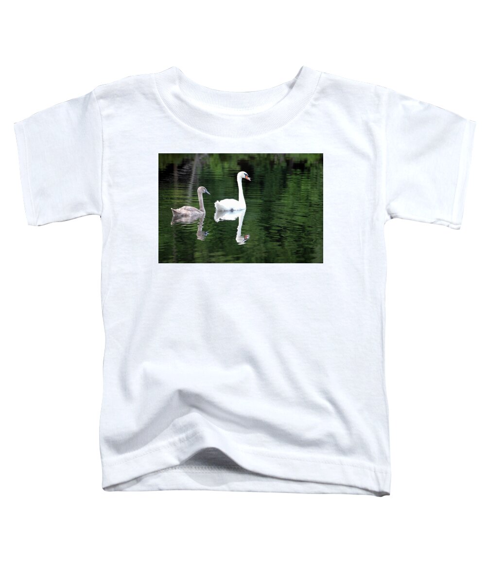 Spring Lake Park Toddler T-Shirt featuring the photograph Cygnet with Mom by Robert Carter