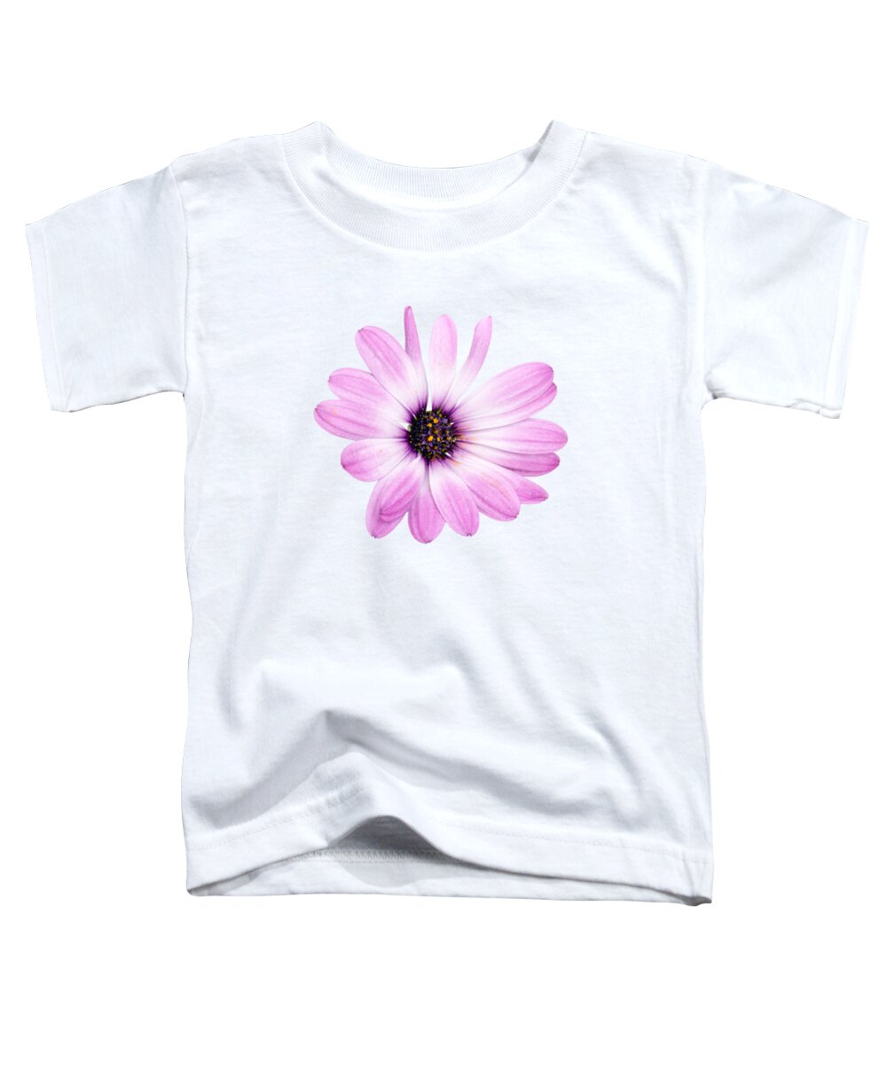 Daisybush Toddler T-Shirt featuring the photograph Daisybush Osteospermum barberiae flowerhead - transparent by Viktor Wallon-Hars