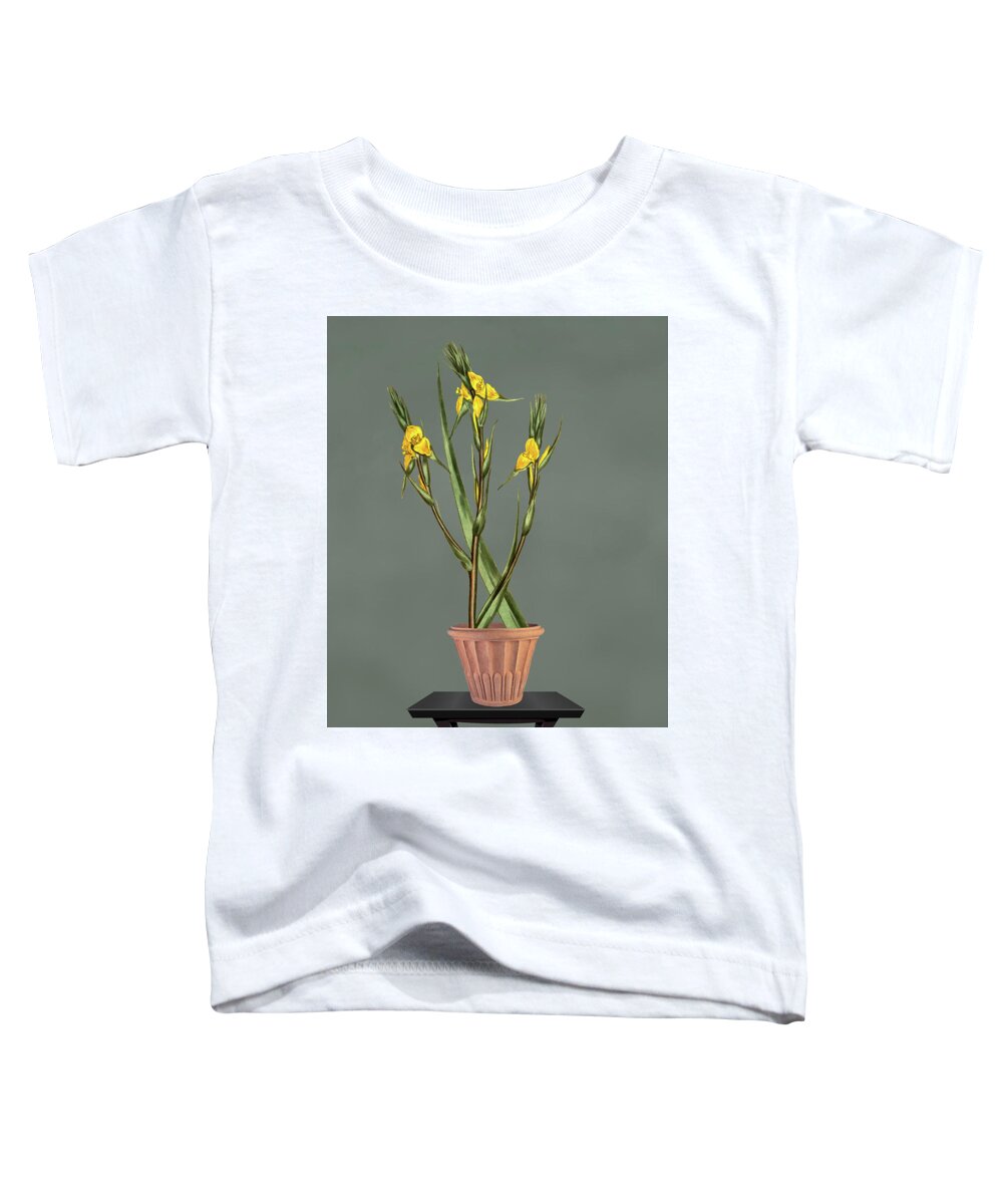 Wooly Philidrum Toddler T-Shirt featuring the mixed media Decorative Clay Pot with flowers by David Dehner