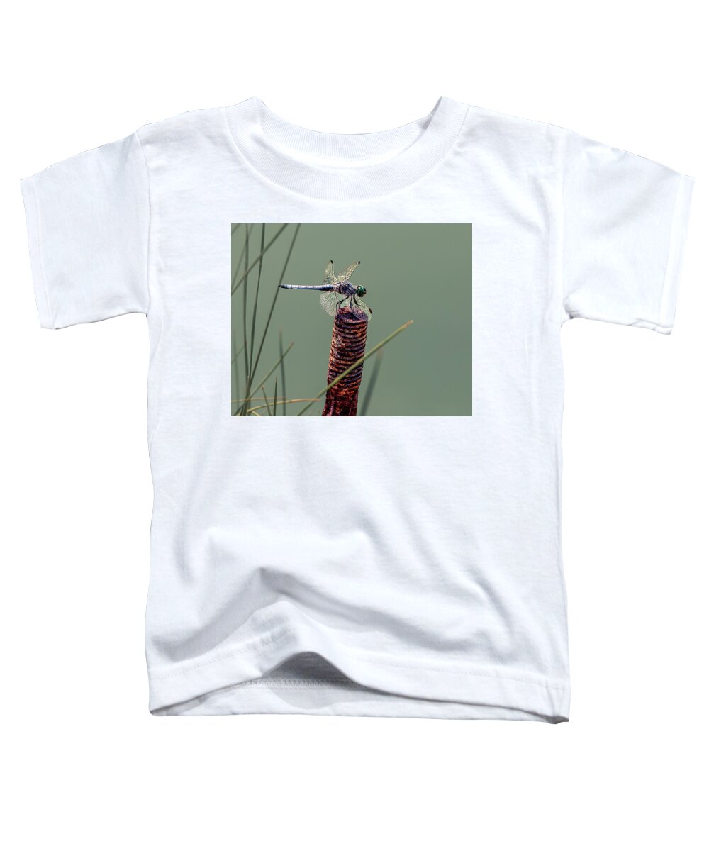 2021 Toddler T-Shirt featuring the photograph Dragonfly 3 by James Sage