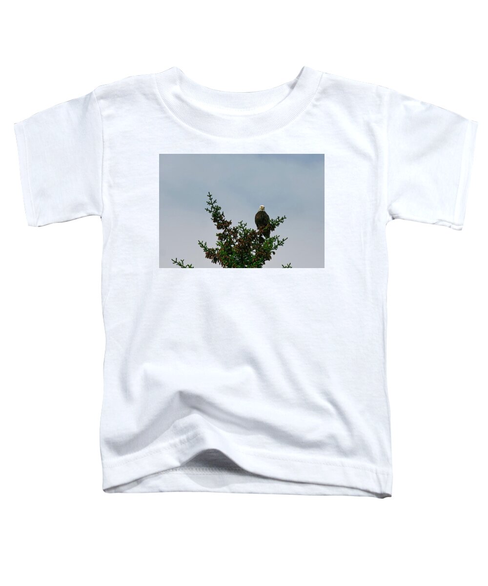Alaska Toddler T-Shirt featuring the photograph Eagle Anchorage by Chuck Kuhn