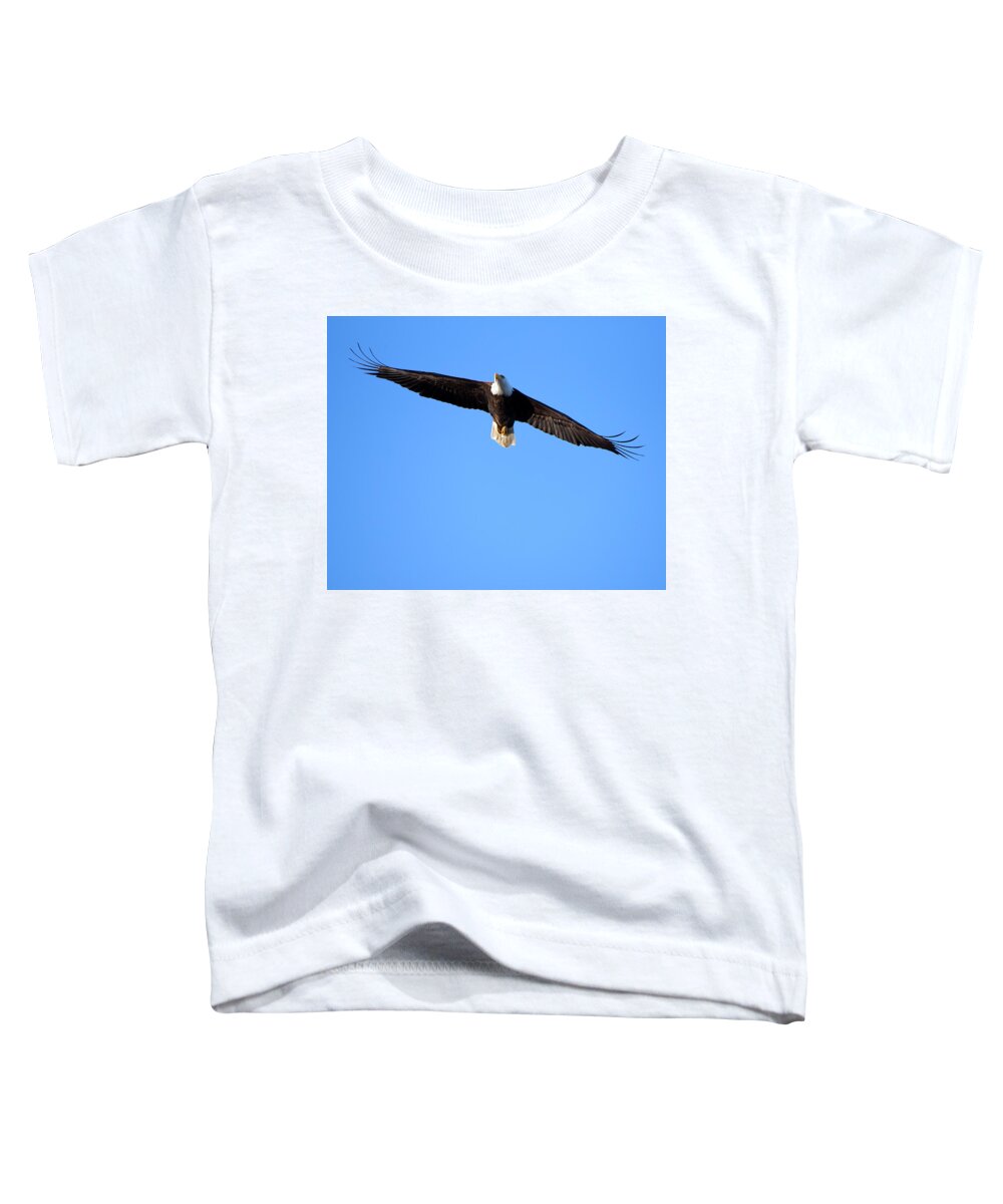 Eagle Toddler T-Shirt featuring the photograph Eagle Fly Over by Flinn Hackett