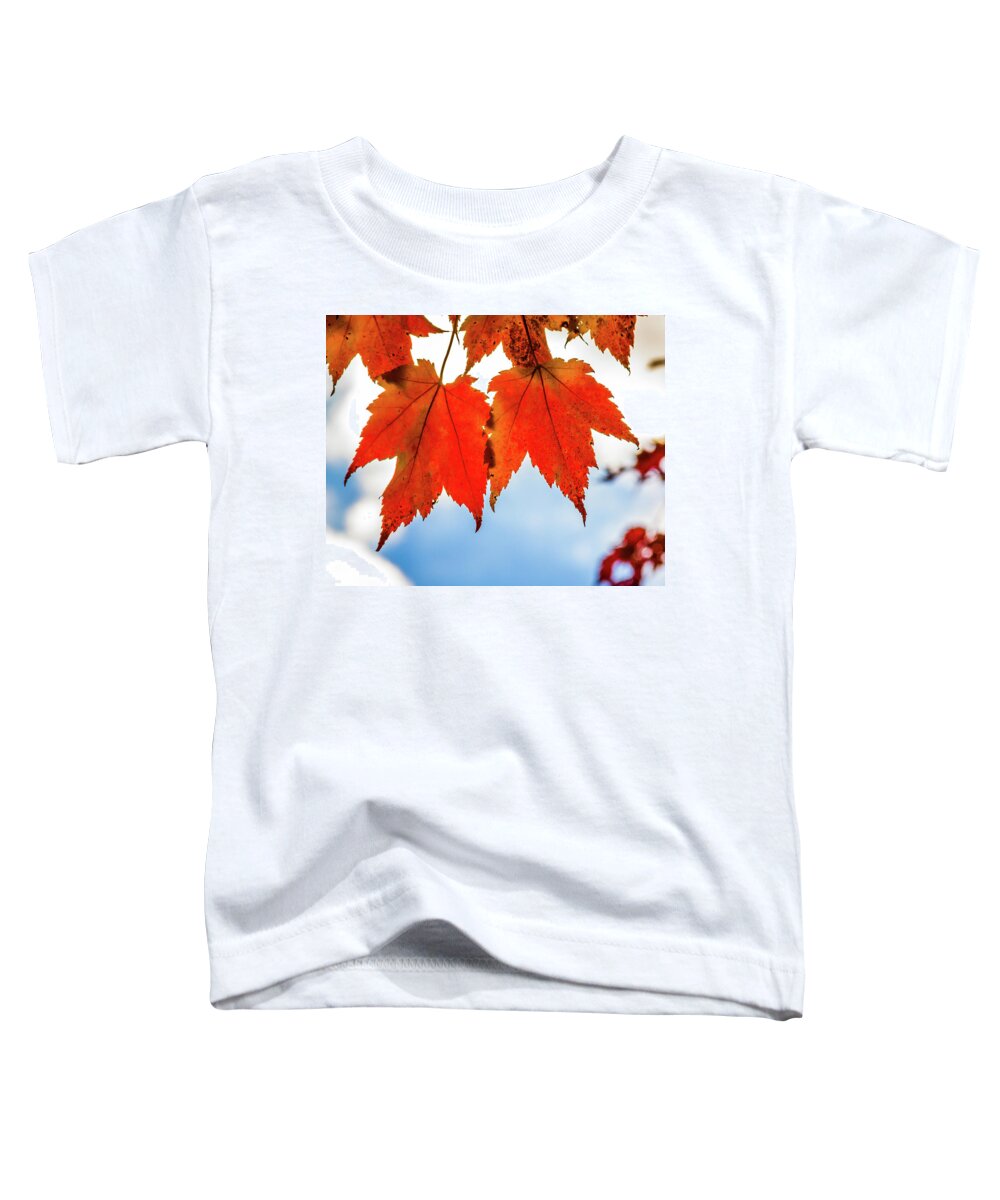 West Virginia Toddler T-Shirt featuring the photograph Fall leaves by Robert Miller