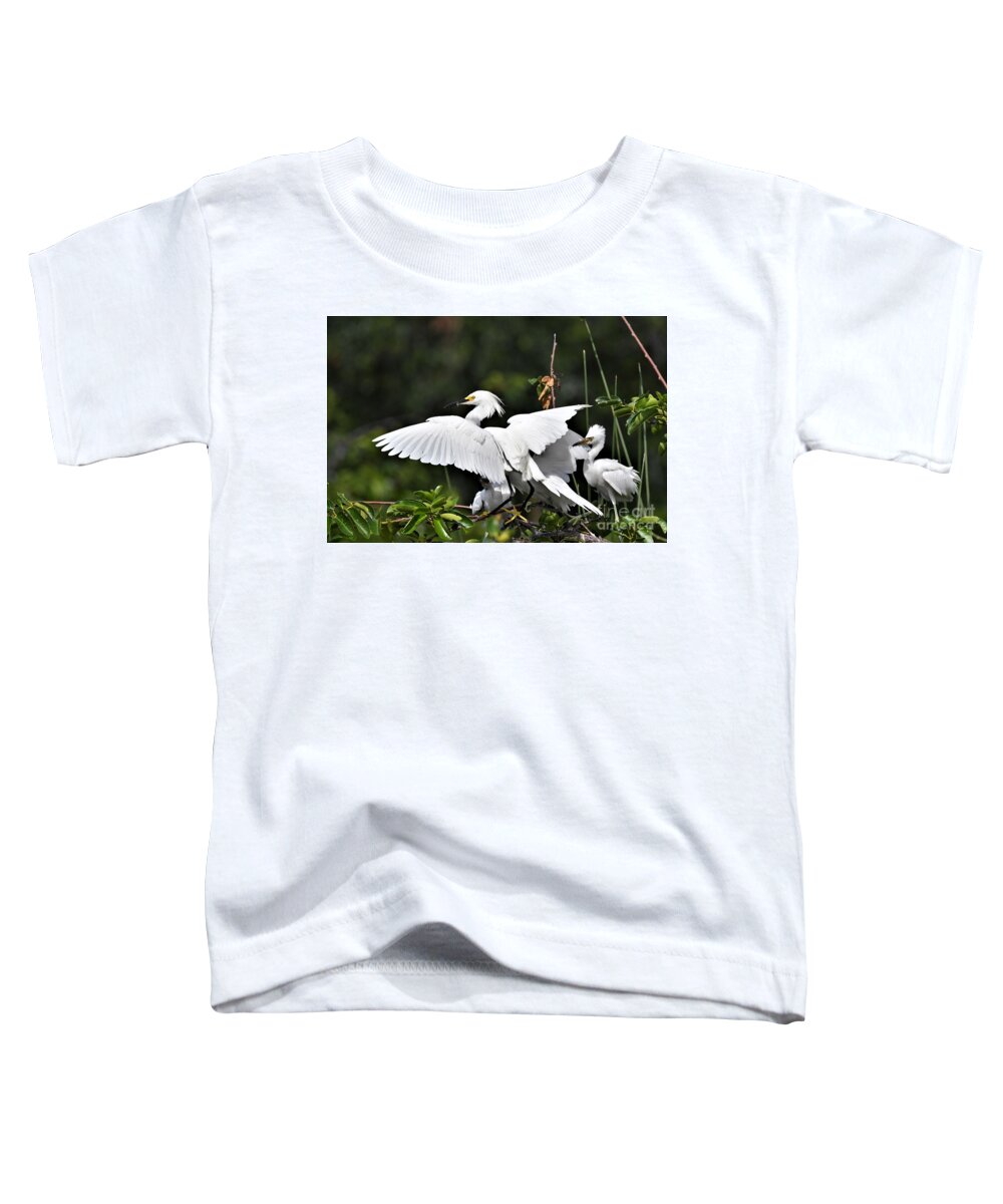 Snowy Egrets Toddler T-Shirt featuring the photograph Family Of Snowy Egrets by Julie Adair