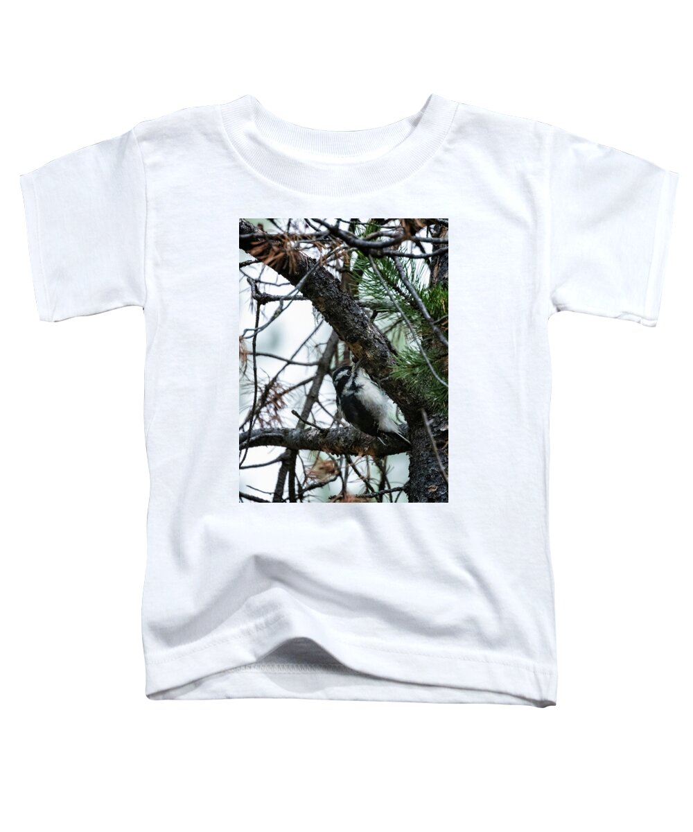 Hairy Woodpecker Toddler T-Shirt featuring the photograph Female Hairy Woodpecker at String Lake by Belinda Greb