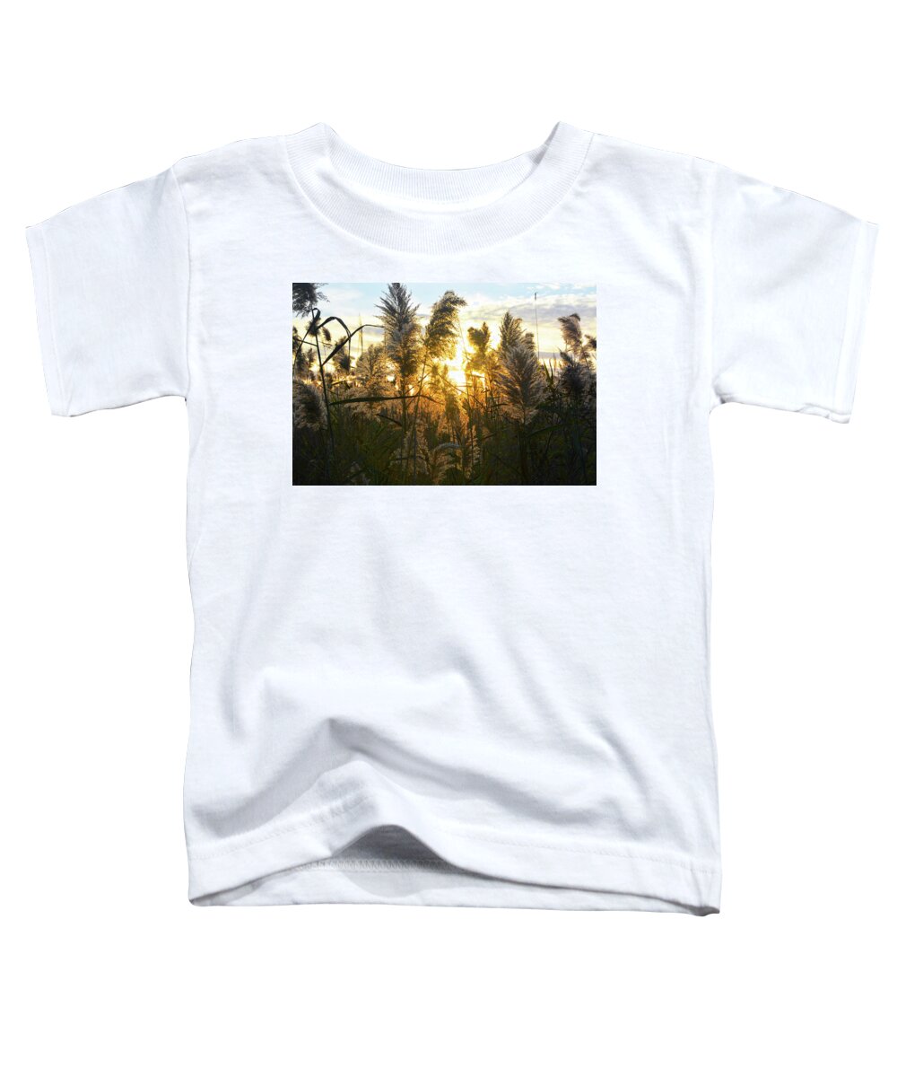 Sunset Toddler T-Shirt featuring the photograph Fields at Sunset by Diane Leonard