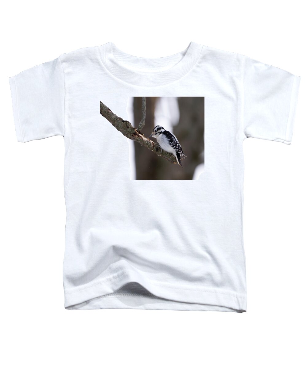 Bird Toddler T-Shirt featuring the photograph Hairy Woodpecker Pecking by Flinn Hackett