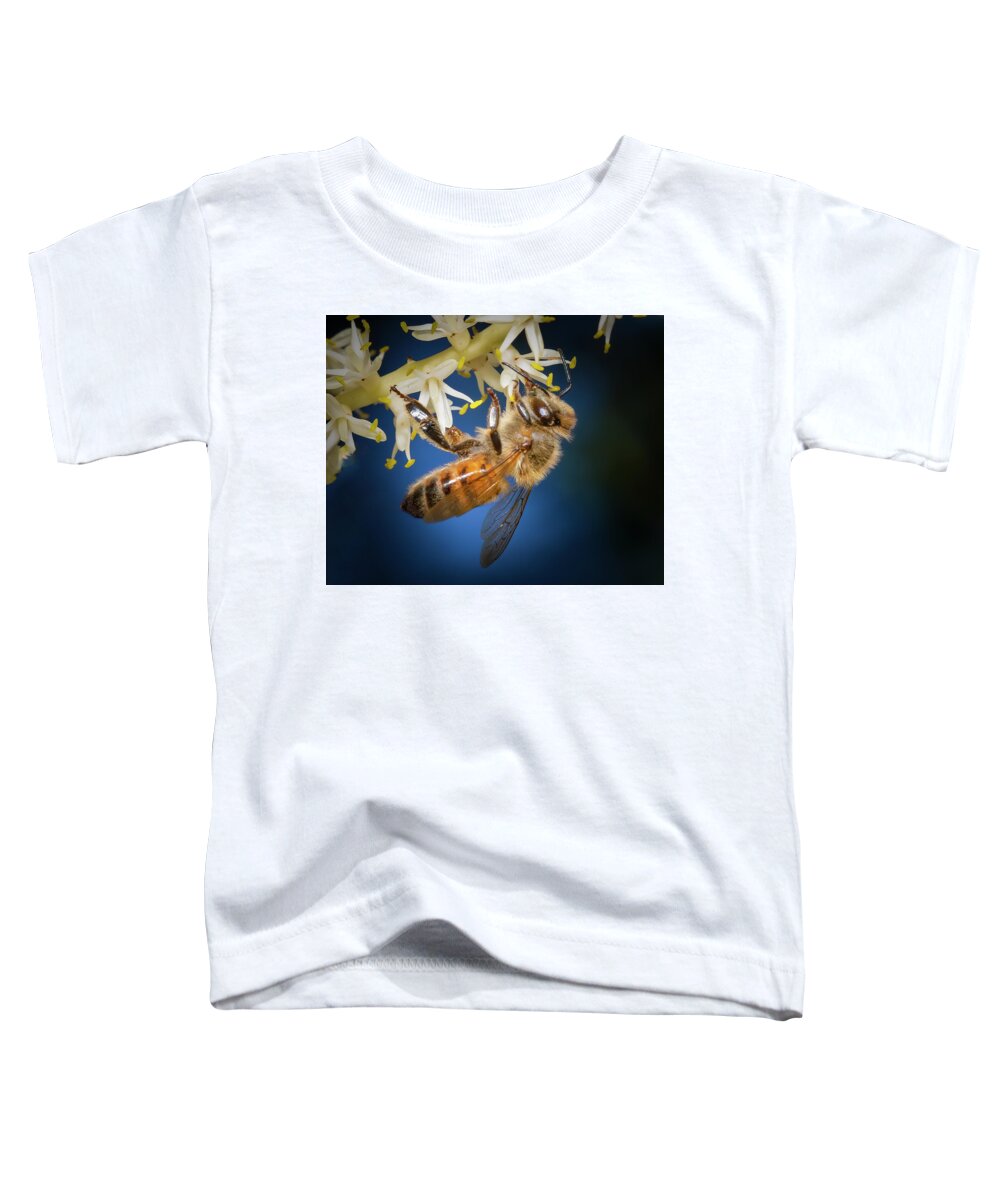 Bee Toddler T-Shirt featuring the photograph Honey Bee in Blue by Mark Andrew Thomas
