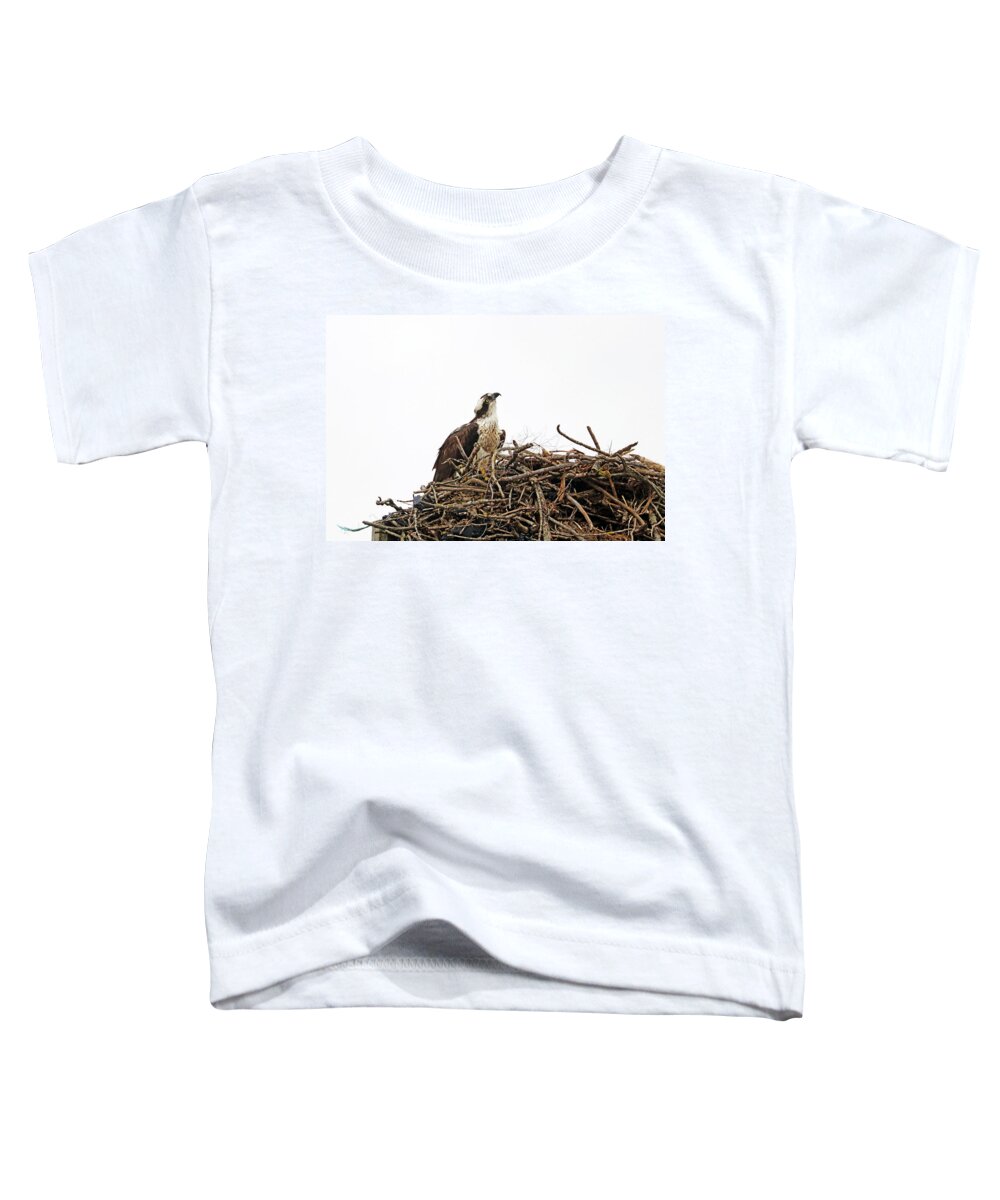 Osprey Toddler T-Shirt featuring the photograph How Long Does It Take by Debbie Oppermann