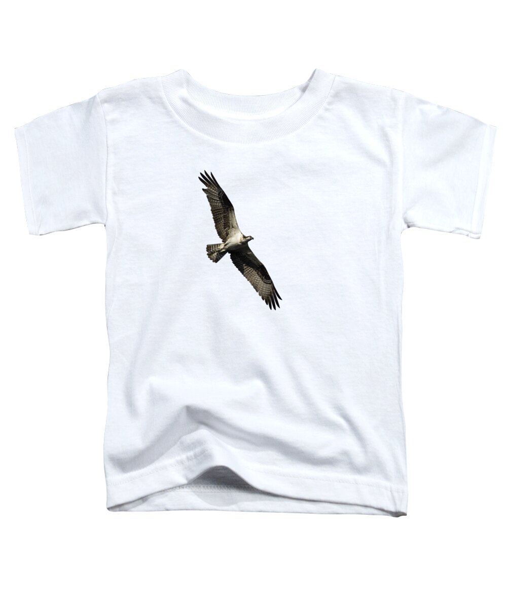 Osprey Toddler T-Shirt featuring the photograph Isolated Osprey 2022-1 by Thomas Young