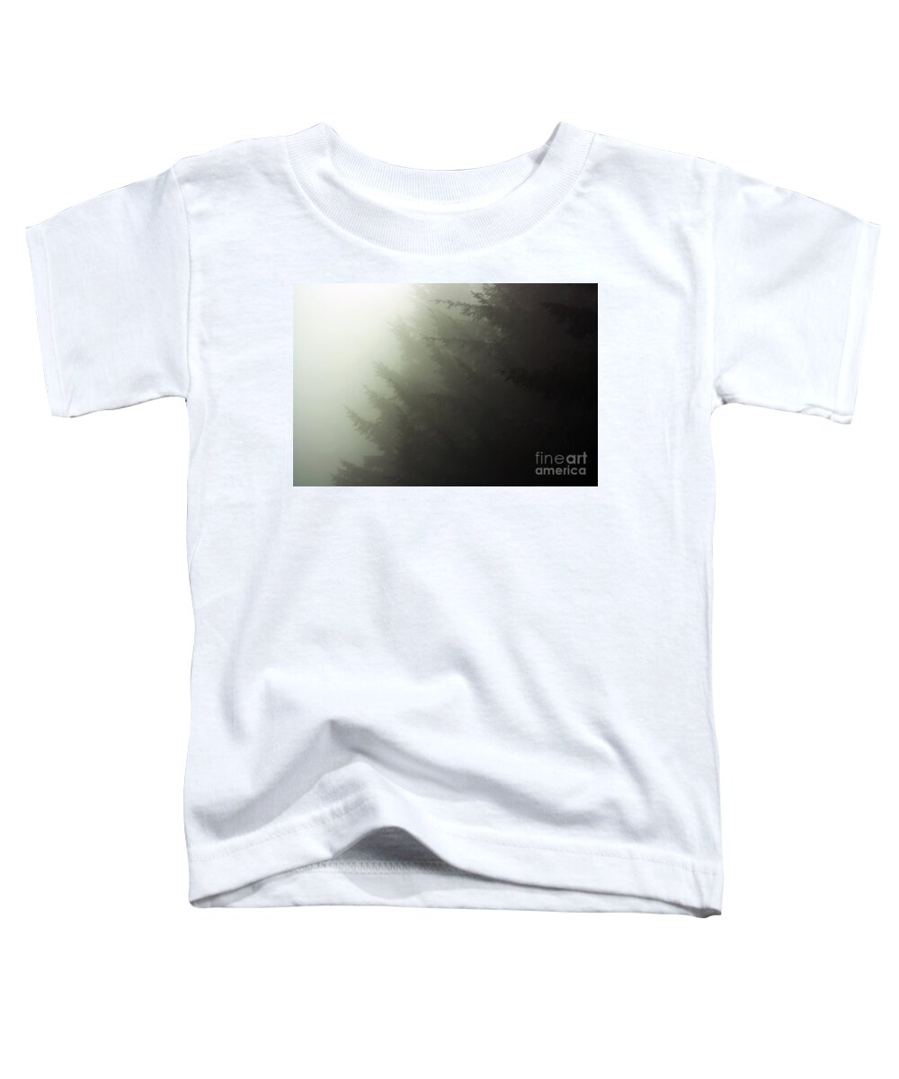 Fog Toddler T-Shirt featuring the photograph Layered Fog by Kimberly Furey