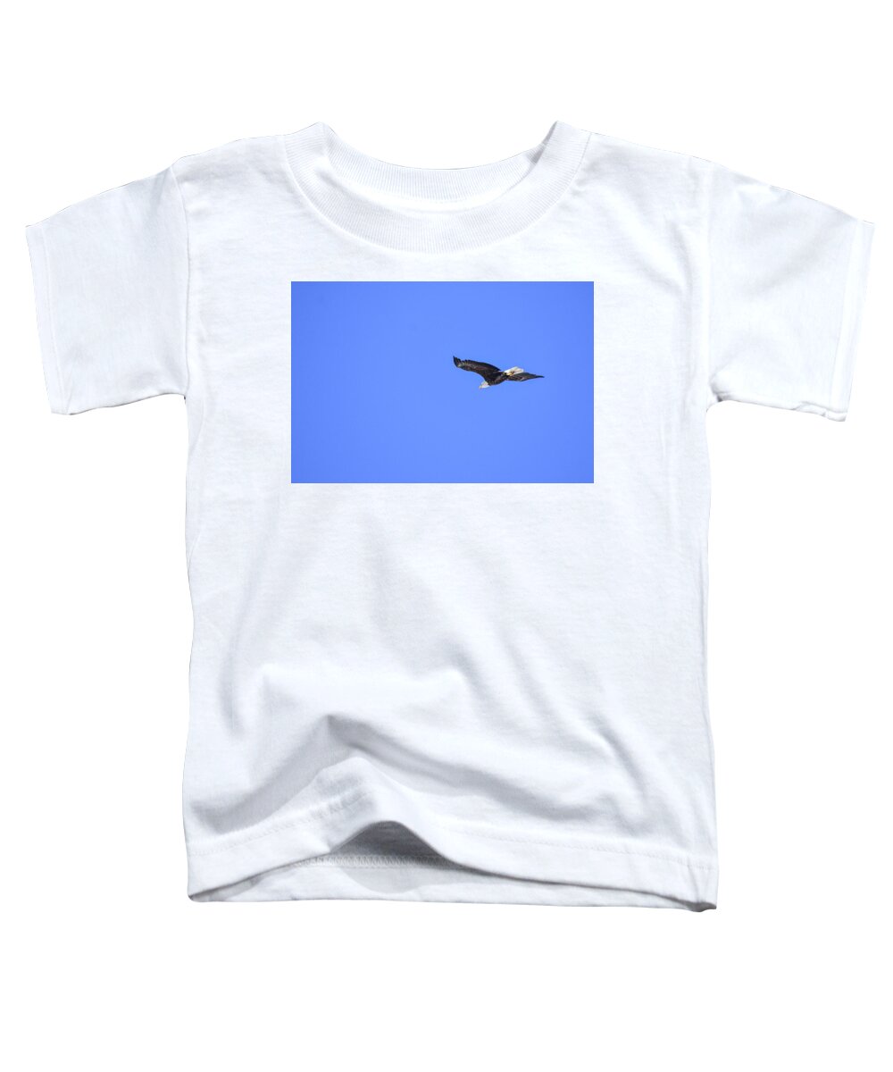 Bird Toddler T-Shirt featuring the photograph Majestic flight by Ed Stokes