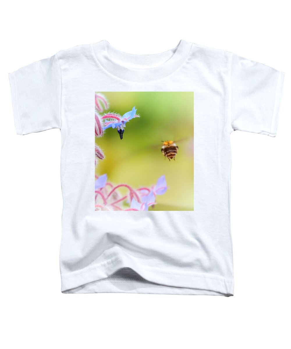 Bumblebee Toddler T-Shirt featuring the photograph Meadow life 29 by Jaroslav Buna