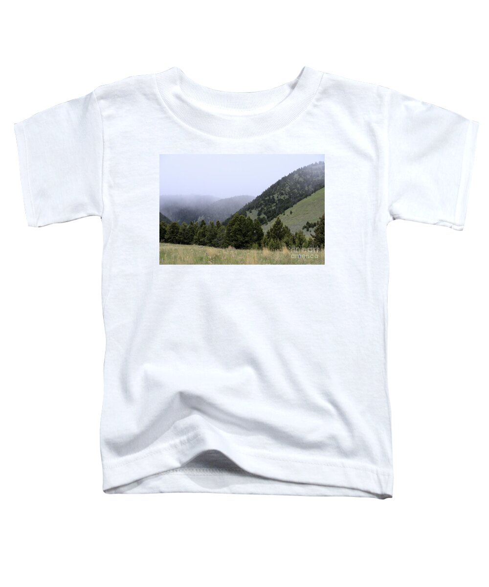 Scenic Toddler T-Shirt featuring the photograph Mist in the Mountains by Kae Cheatham