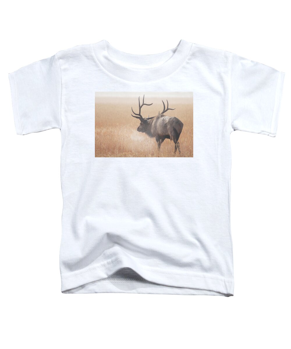 Elk Toddler T-Shirt featuring the photograph Morning Breath by Darren White