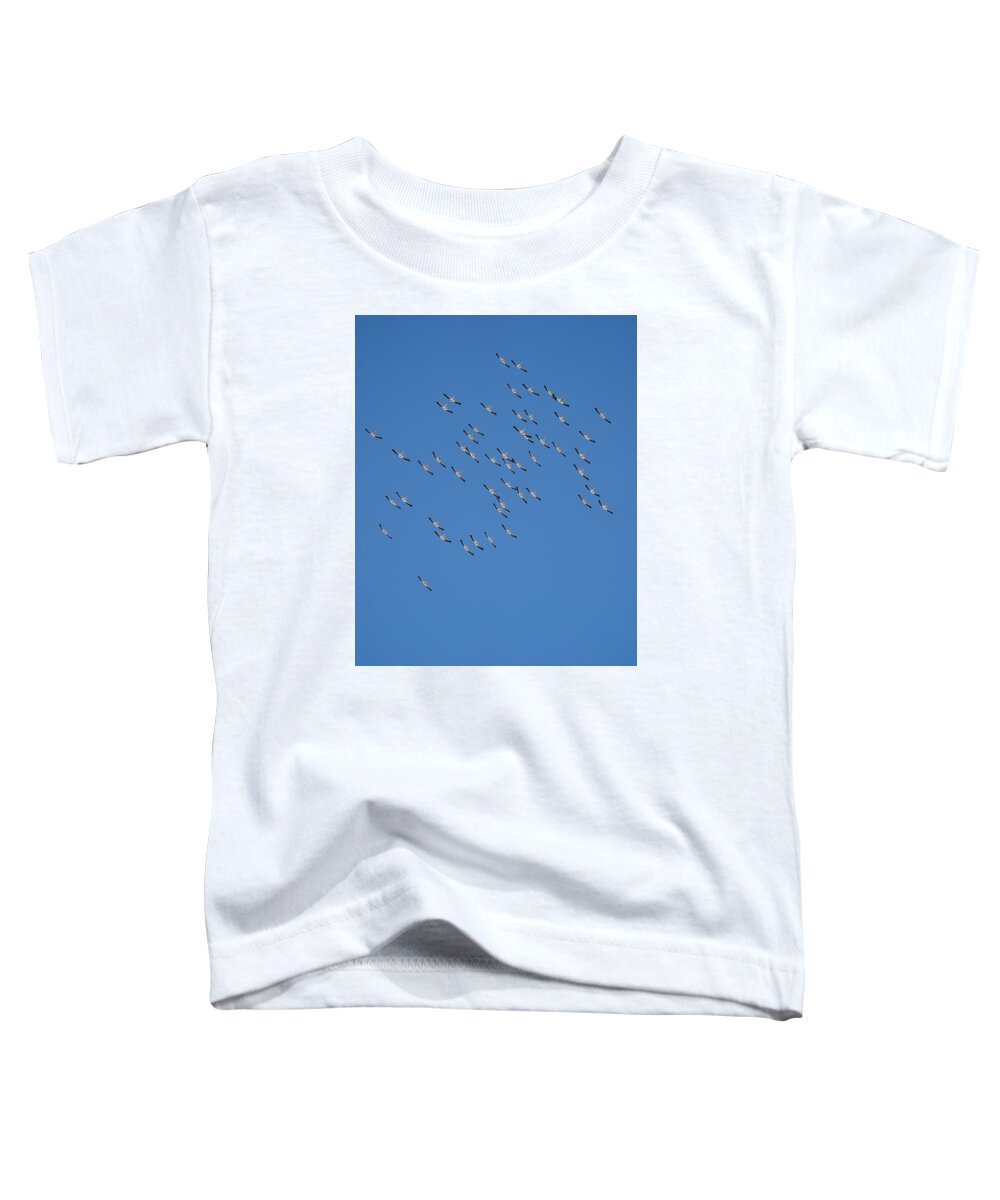 New Mexico Toddler T-Shirt featuring the photograph Natural Formation by Maresa Pryor-Luzier