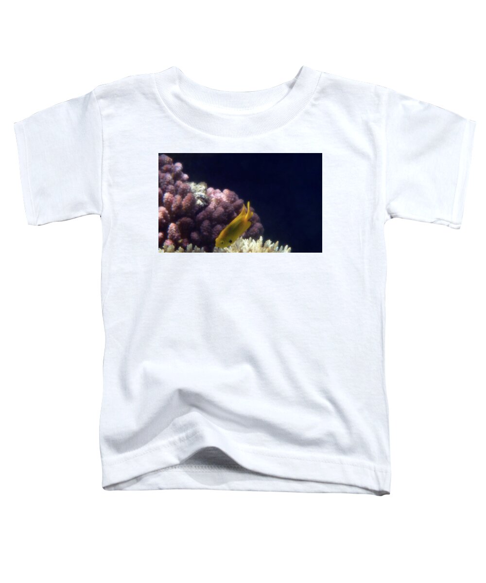 Fish Toddler T-Shirt featuring the photograph Red Sea Sulphur Damselfish Closeup by Johanna Hurmerinta