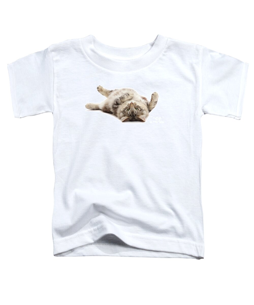 Silver Toddler T-Shirt featuring the photograph Silver tabby fluffy cat rolling on back by Warren Photographic