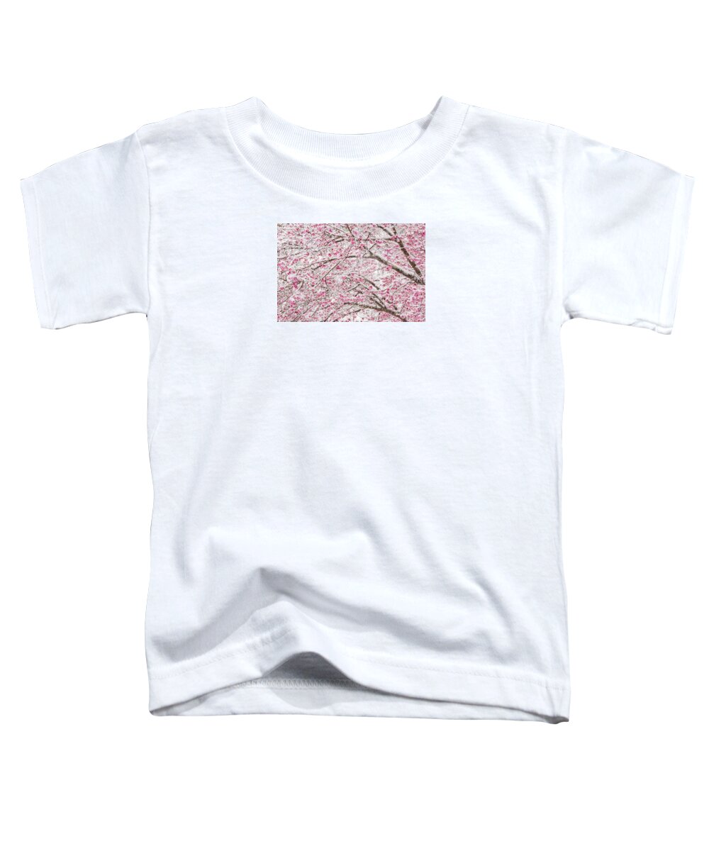 Cherry Blossoms Toddler T-Shirt featuring the photograph Snowy Blossoms by Mary Ann Artz