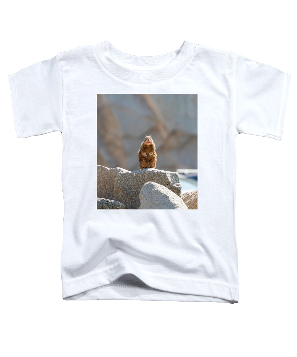 Ground Squirrel Toddler T-Shirt featuring the photograph Squeaky The Sand Squirrel by Mike-Hope