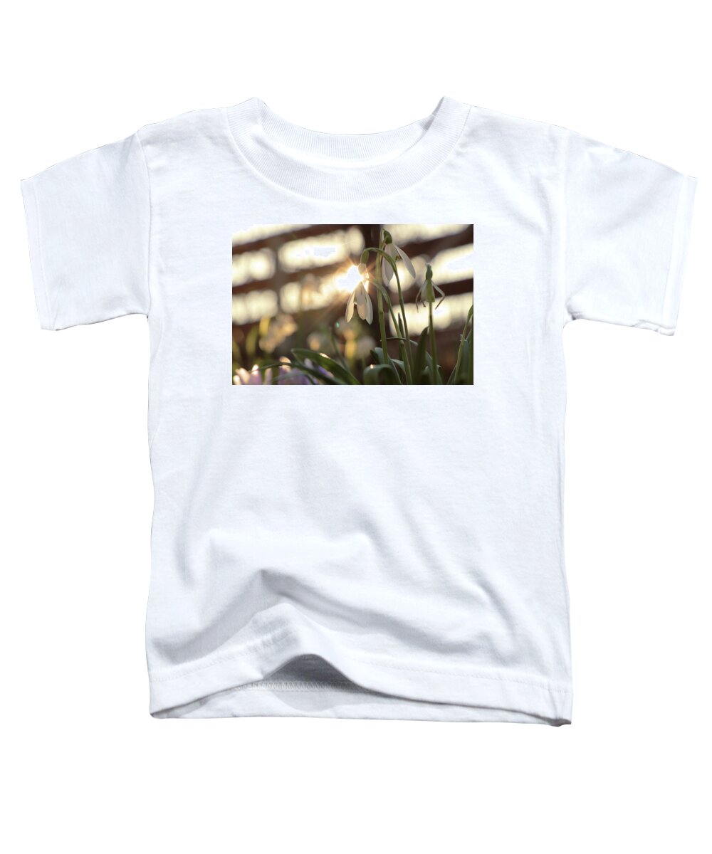 Misty Toddler T-Shirt featuring the photograph Sunshine goes through Galanthus nivalis by Vaclav Sonnek