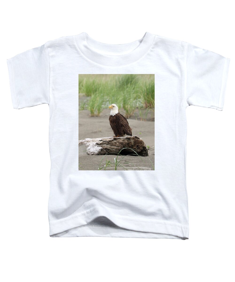 Bald Eagle Toddler T-Shirt featuring the photograph Washington Beach Bald Eagle by Carol Groenen