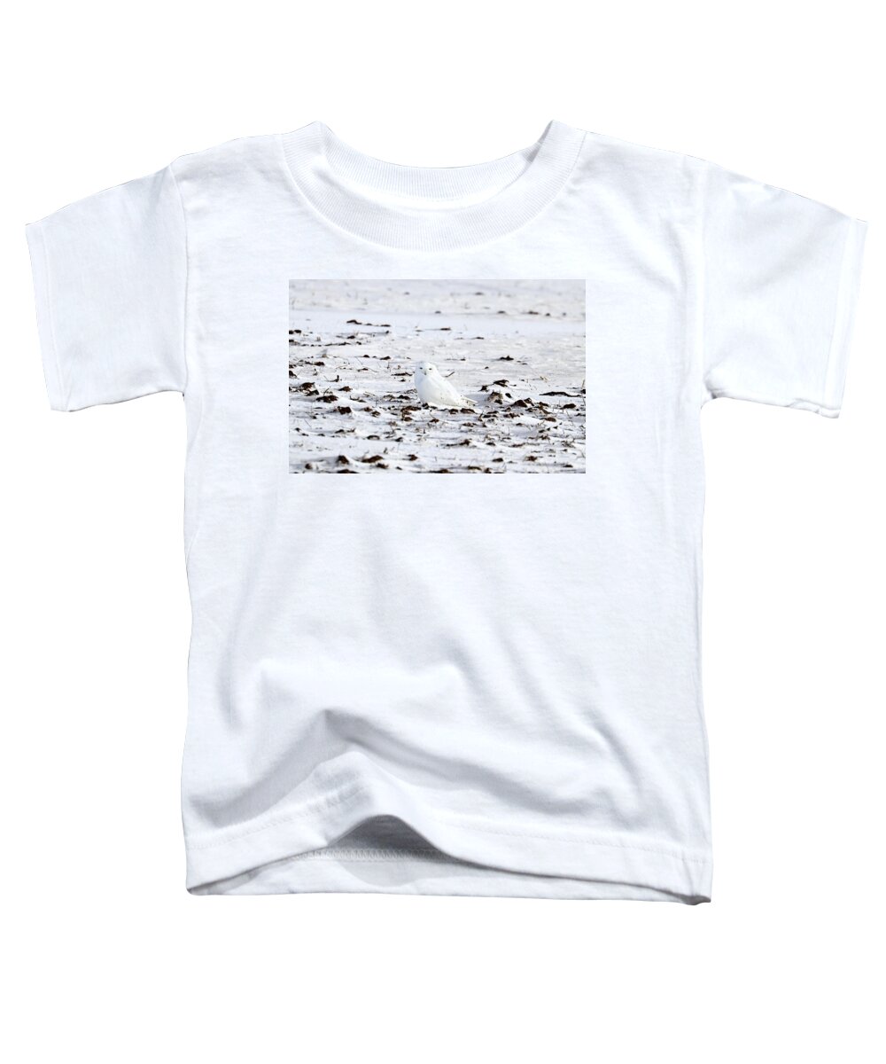 Snowy Owl Toddler T-Shirt featuring the photograph Whiter Than Snow by Debbie Oppermann