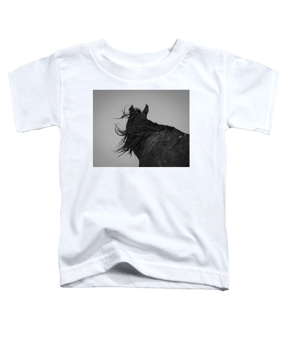 Wild Horses Toddler T-Shirt featuring the photograph Windy Day by Mary Hone