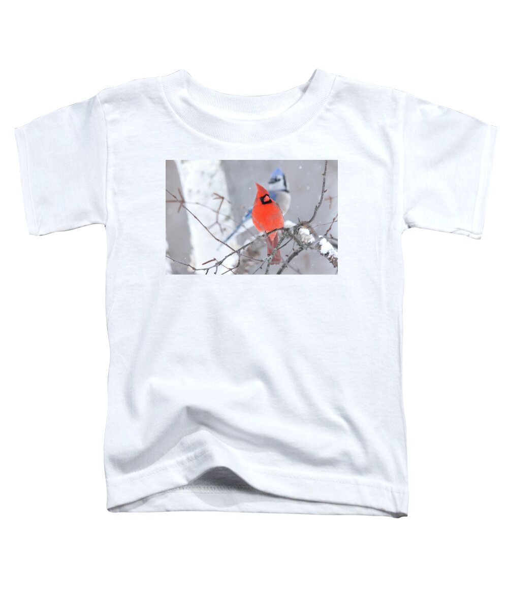 Winter Toddler T-Shirt featuring the photograph Winter Cardinal and Bluejay by Brook Burling