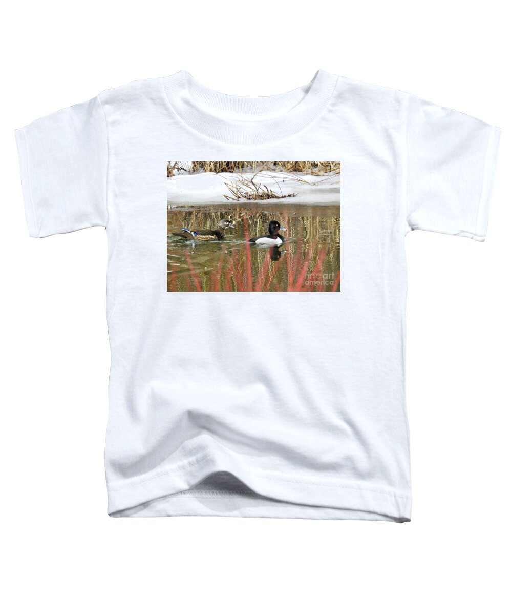 Ring Neck Duck Toddler T-Shirt featuring the photograph Wood Duck and Ring Neck by Nicola Finch