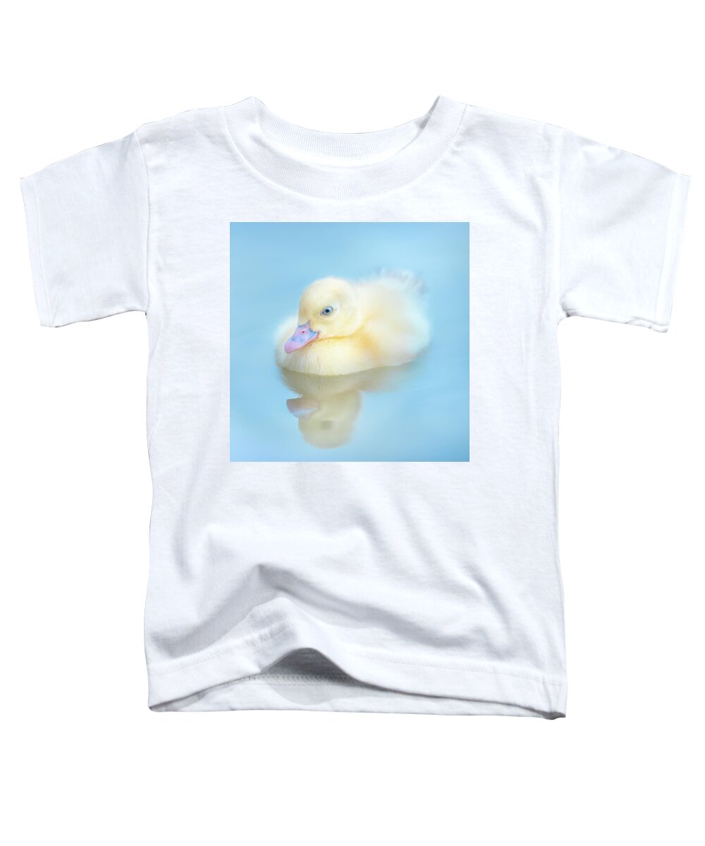 Yellow Duckling Toddler T-Shirt featuring the photograph Yellow Duckling Reflections by Jordan Hill