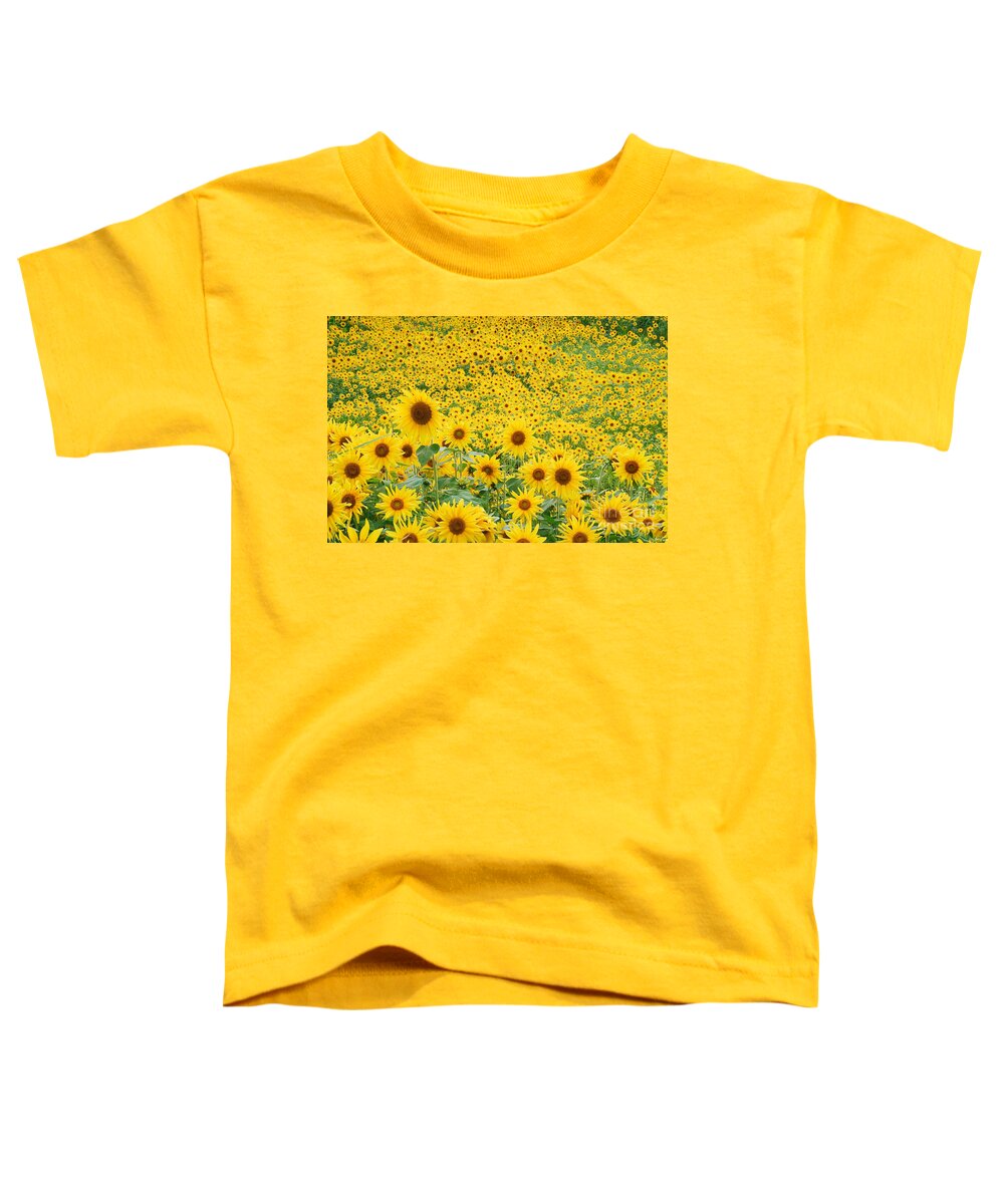 Flora Toddler T-Shirt featuring the photograph Field Of Sunflowers Helianthus Sp #2 by David Davis