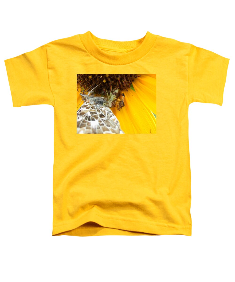 Ambush Bugs Toddler T-Shirt featuring the photograph Ambushed by Shane Bechler