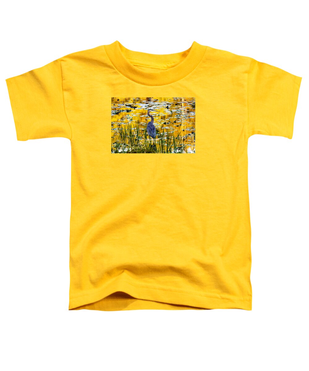 Blue Heron Toddler T-Shirt featuring the photograph Blue Heron In A Golden Pond by Marina Kojukhova