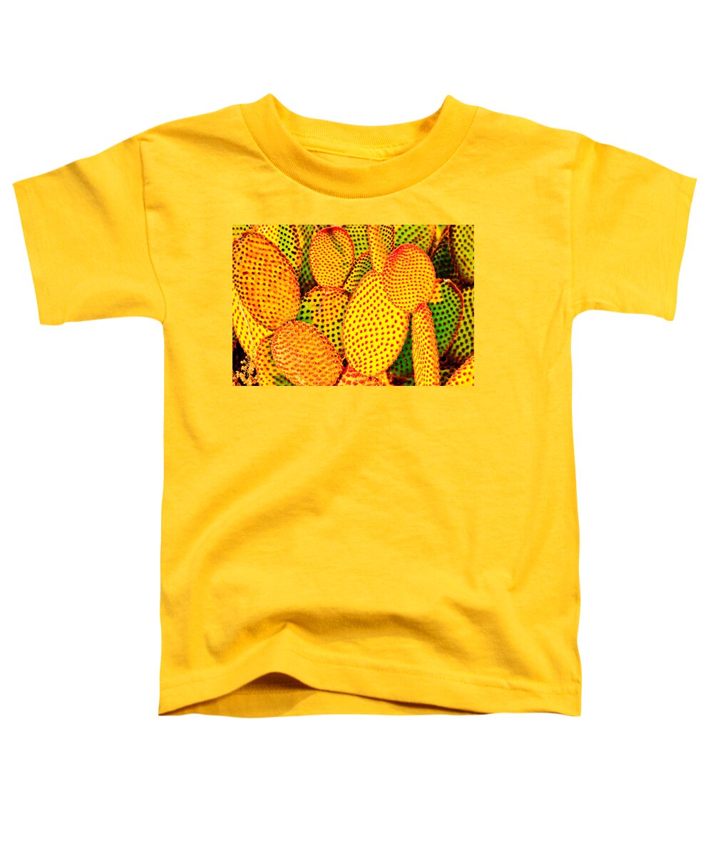 Cactus Toddler T-Shirt featuring the photograph Cactus with Sunset Glow by Ben Graham