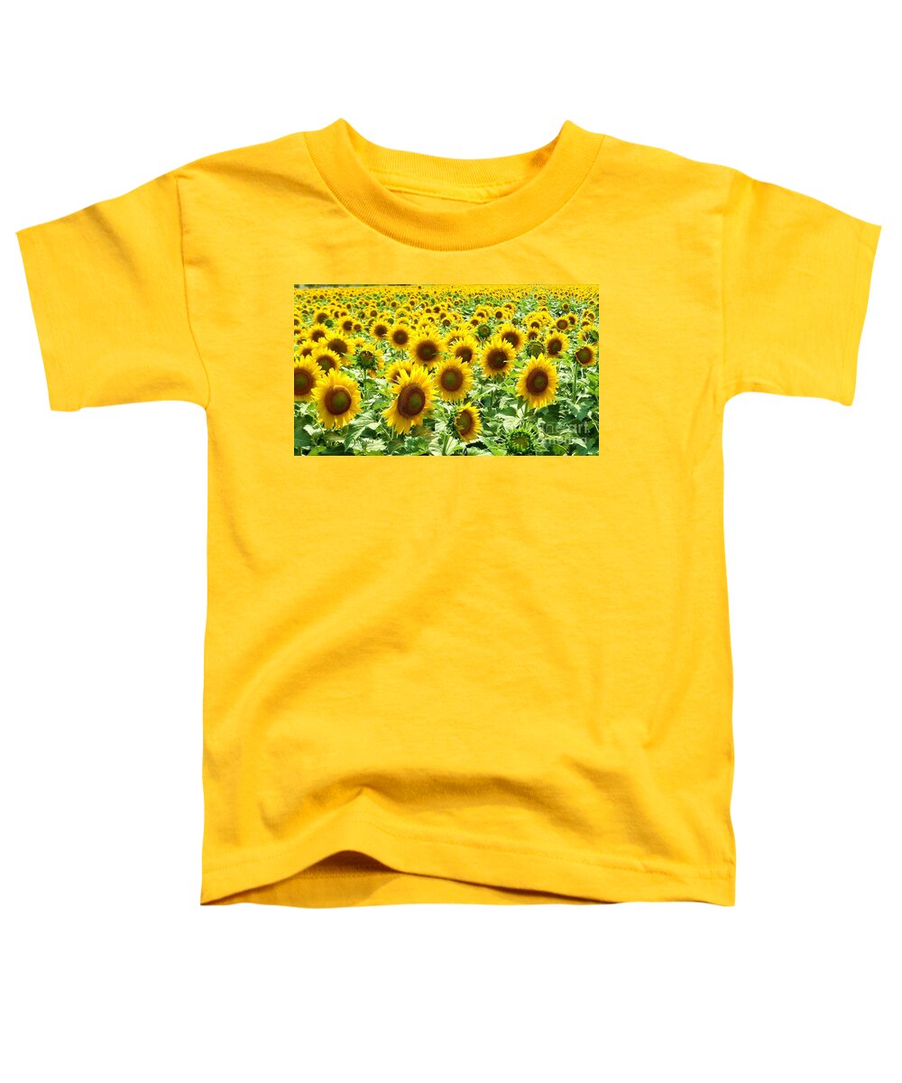 Sunflower Toddler T-Shirt featuring the photograph Field of Glory by Robert ONeil